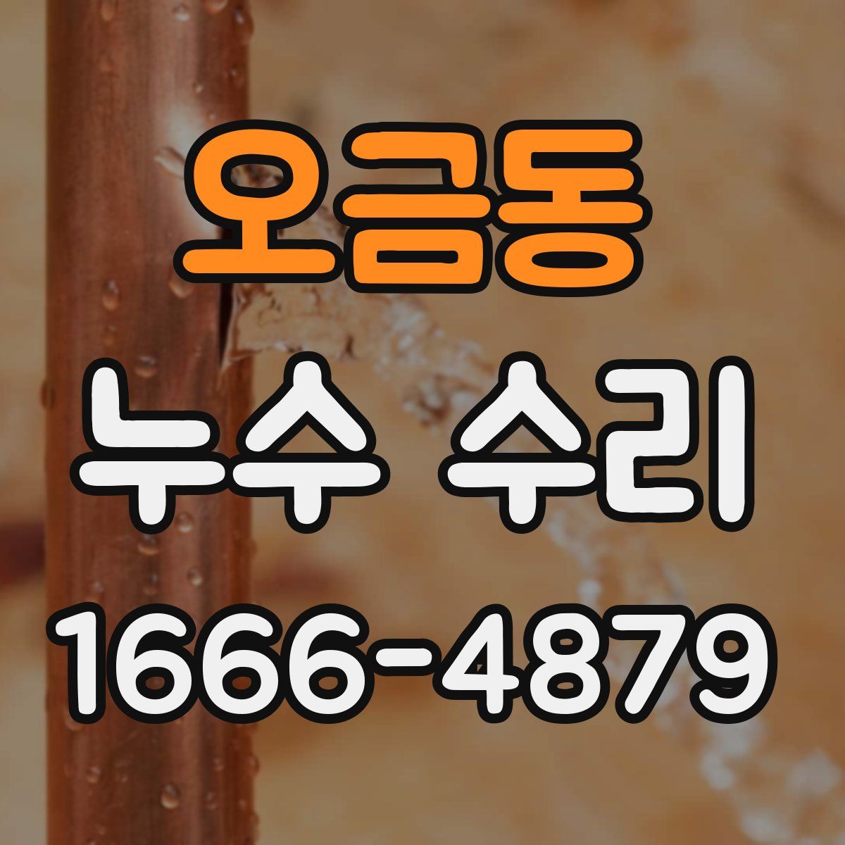 오금동 누수 수리