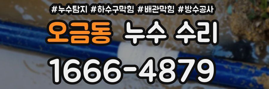 오금동 누수 수리