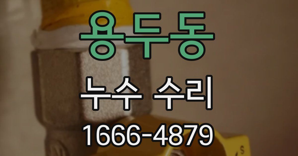 용두동 누수 수리