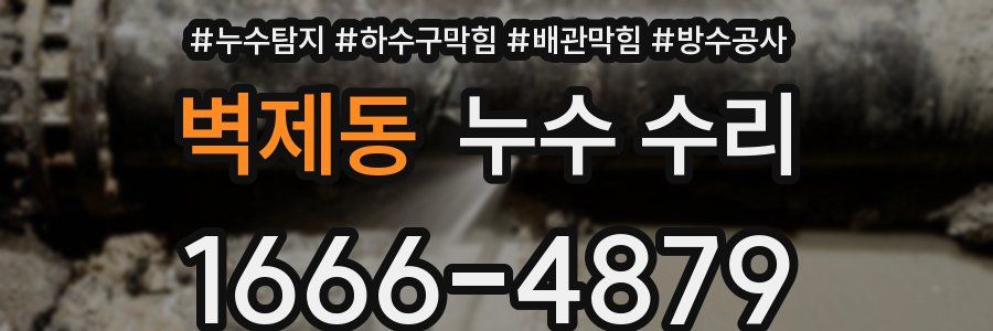 벽제동 누수 수리