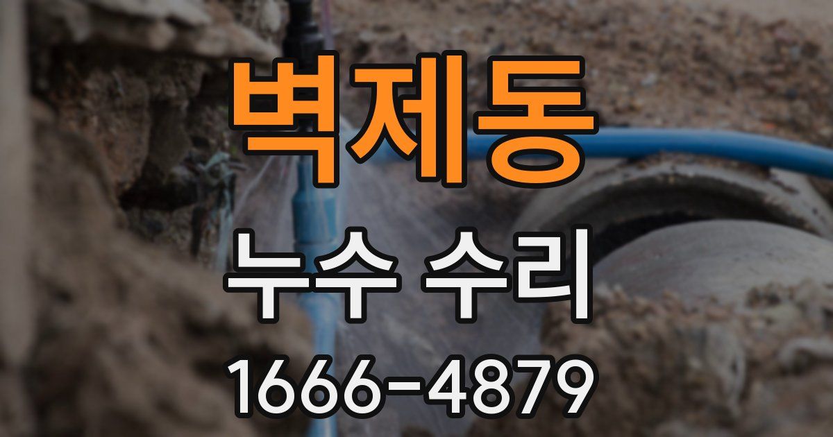 벽제동 누수 수리