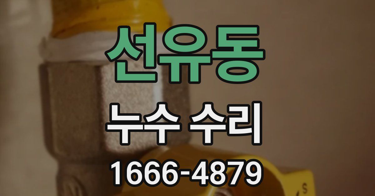 선유동 누수 수리