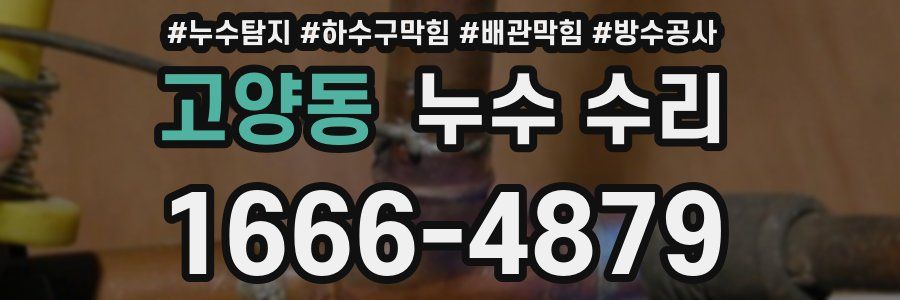 고양동 누수 수리