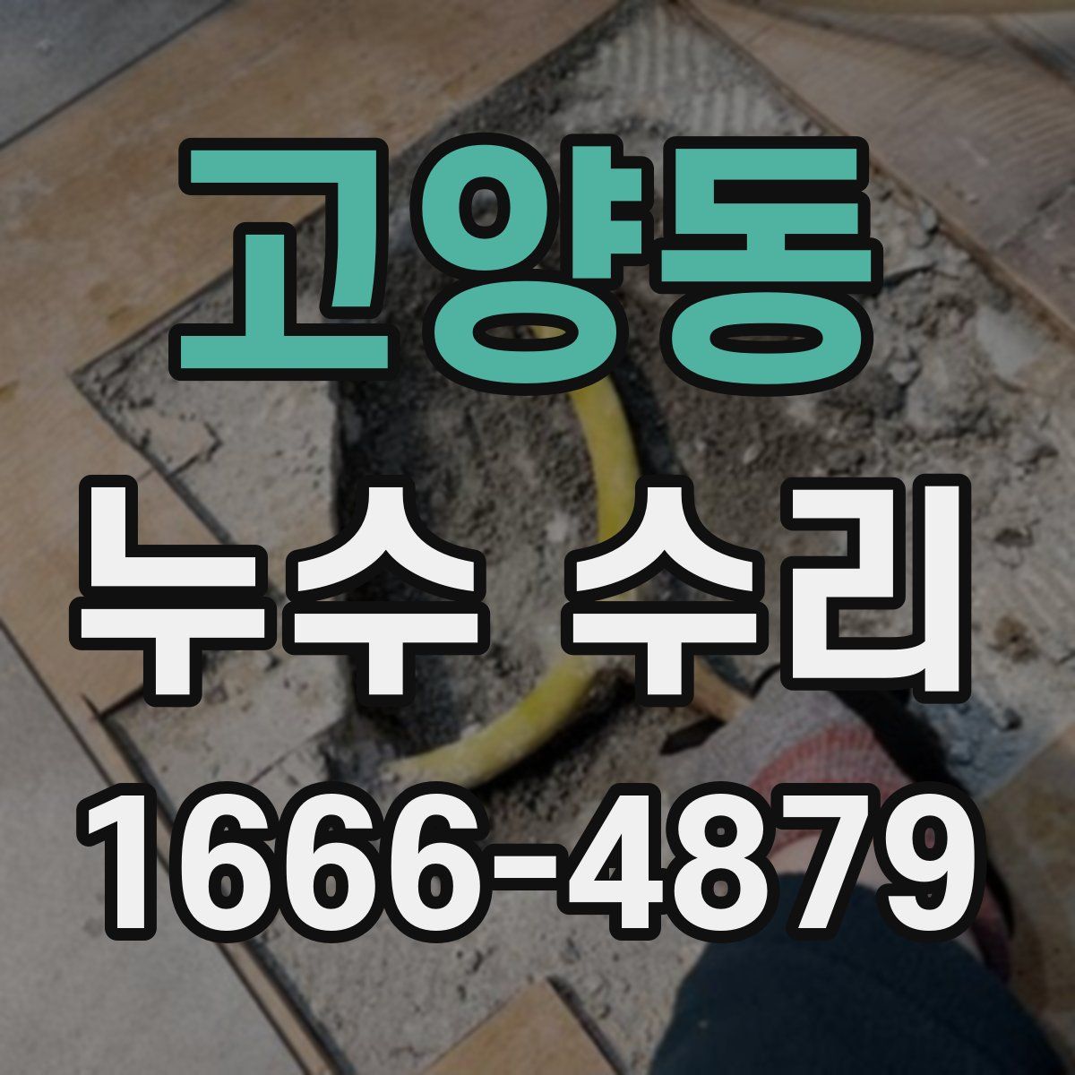 고양동 누수 수리