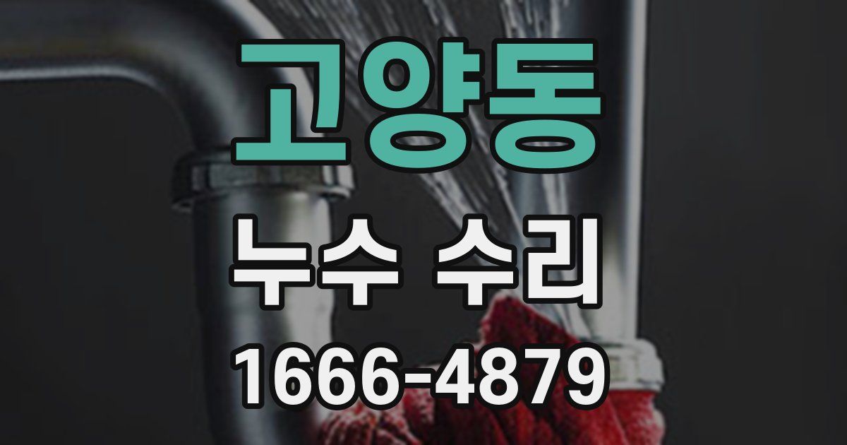 고양동 누수 수리