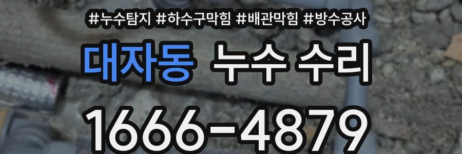 대자동 누수 수리