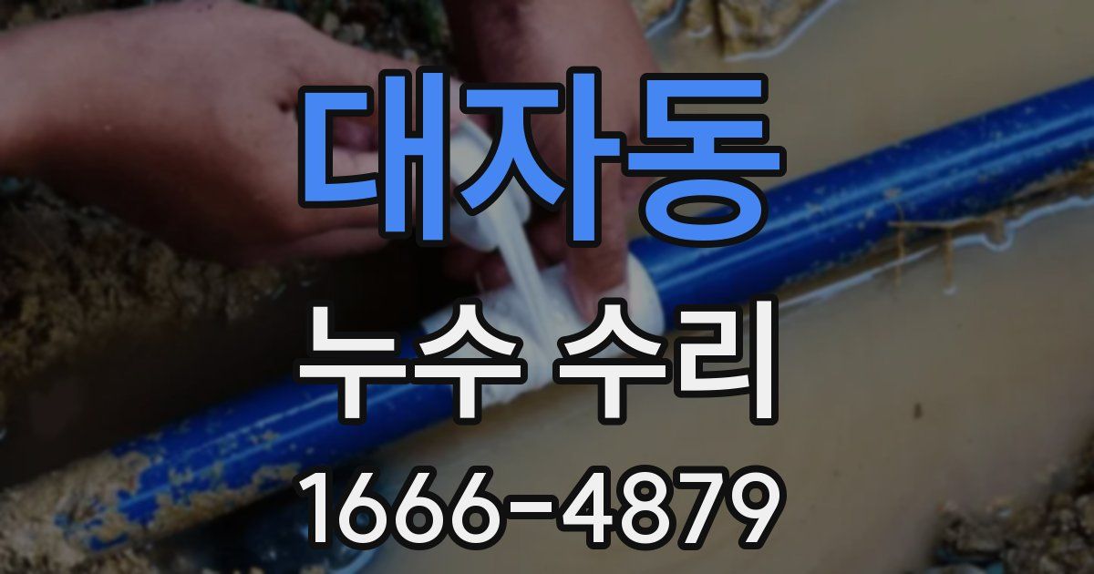 대자동 누수 수리
