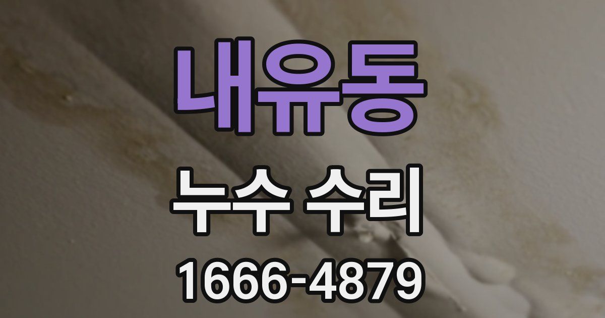 내유동 누수 수리