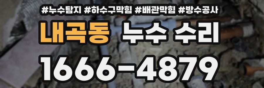 내곡동 누수 수리