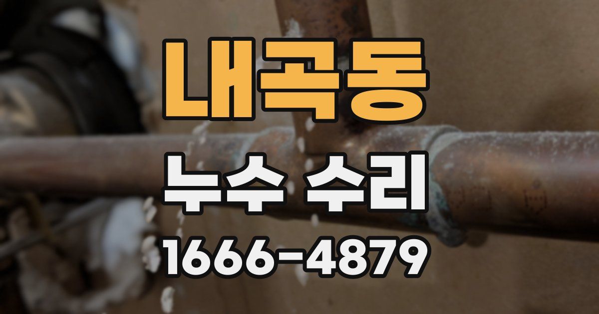 내곡동 누수 수리