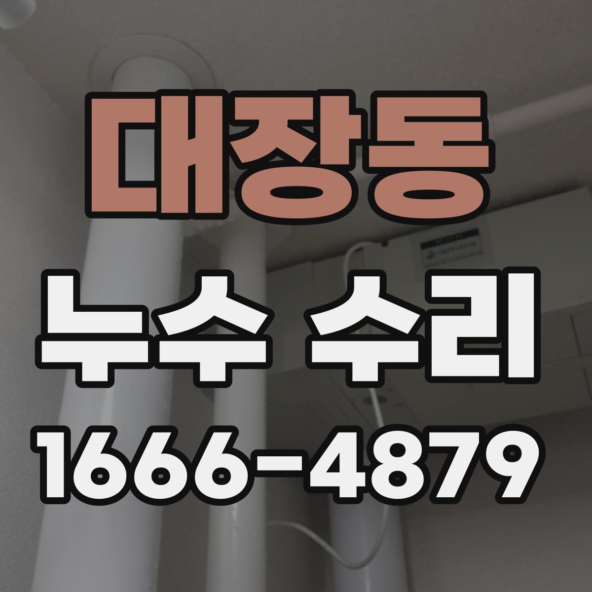 대장동 누수 수리