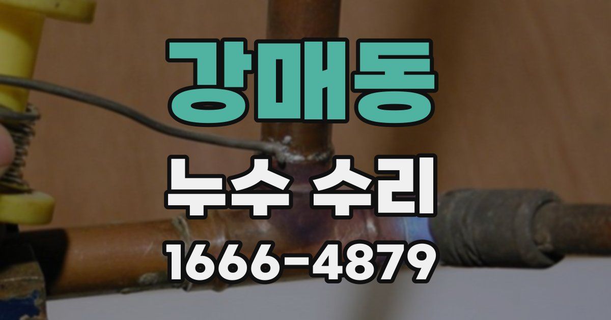 강매동 누수 수리