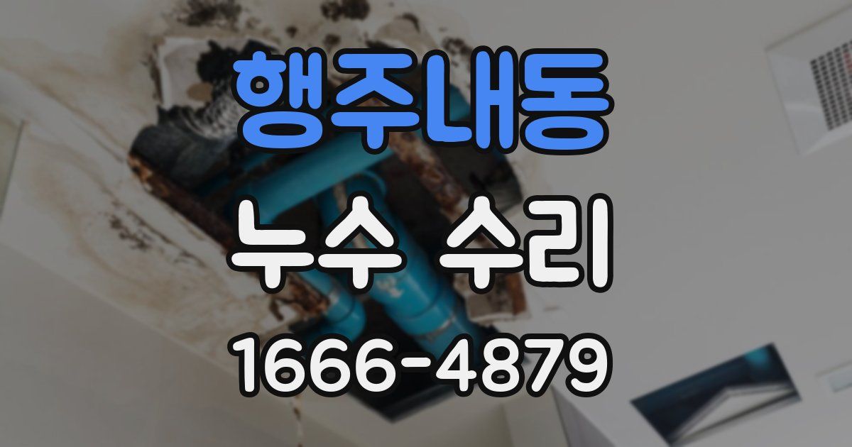 행주내동 누수 수리