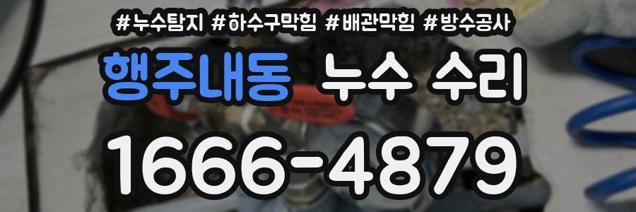 행주내동 누수 수리