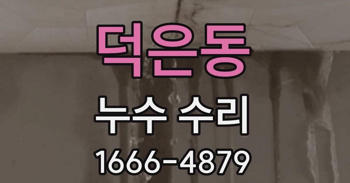 덕은동 누수 수리