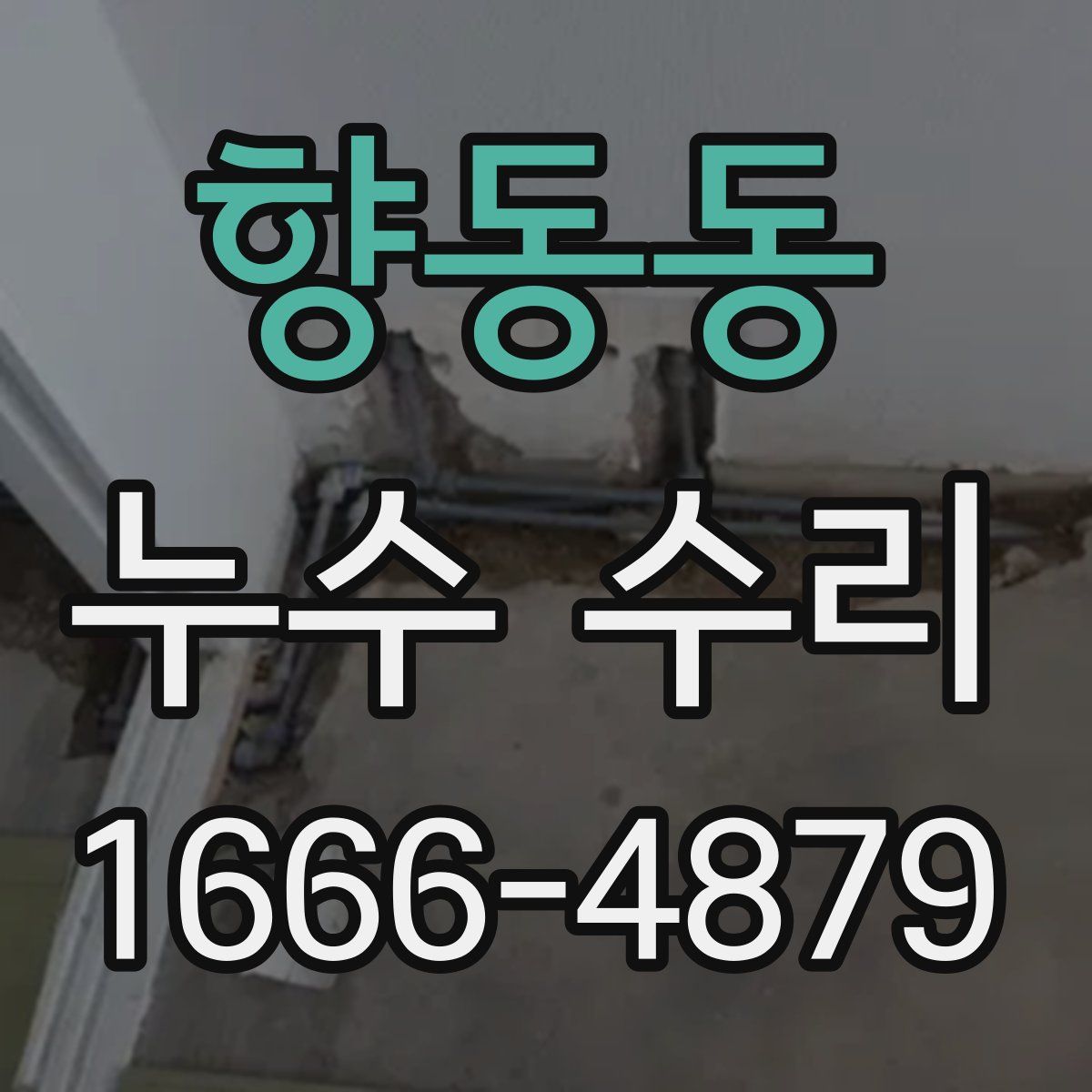 향동동 누수 수리