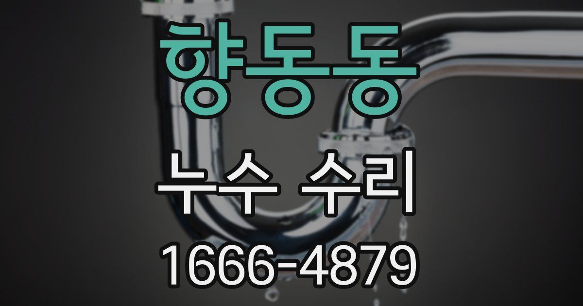 향동동 누수 수리