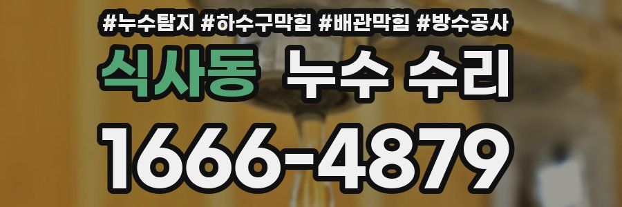 식사동 누수 수리
