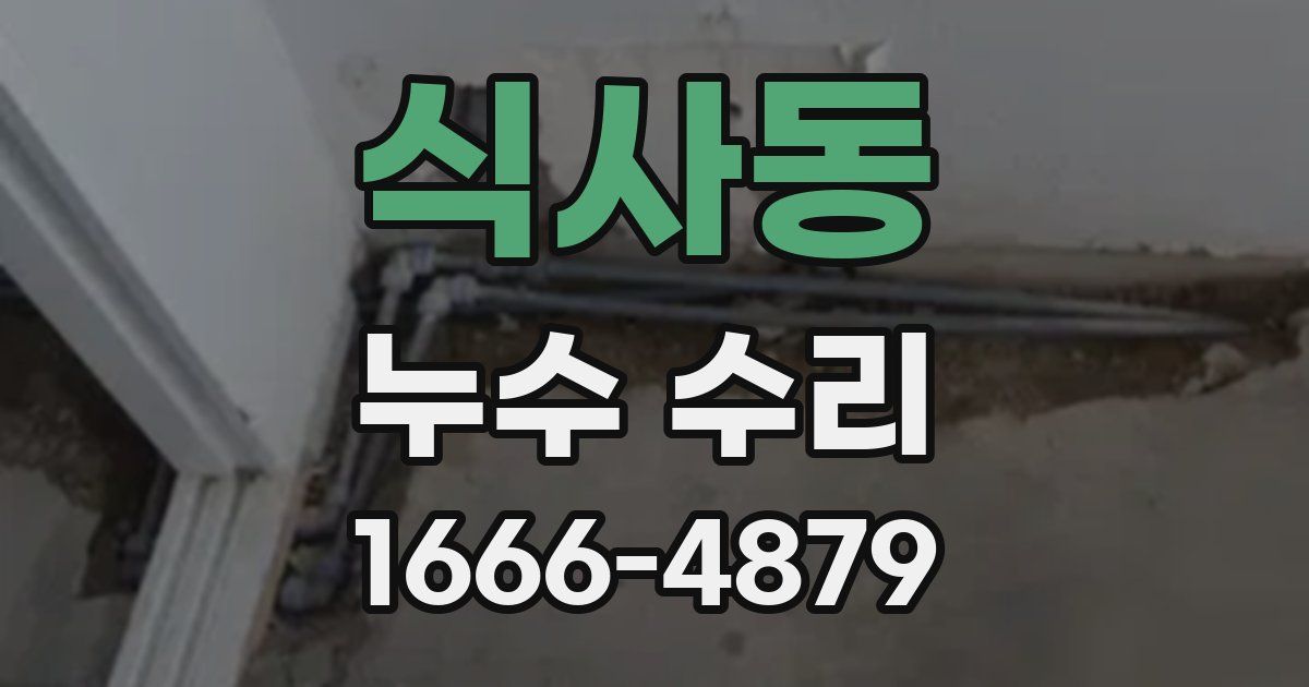 식사동 누수 수리