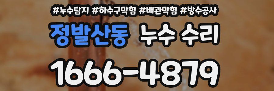 정발산동 누수 수리