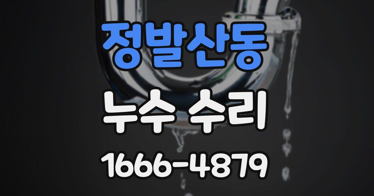 정발산동 누수 수리