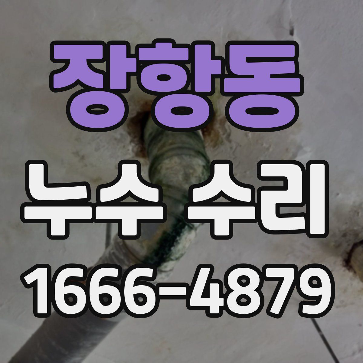 장항동 누수 수리