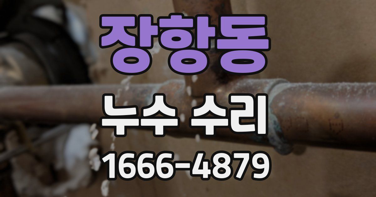장항동 누수 수리