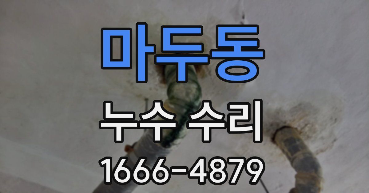 마두동 누수 수리