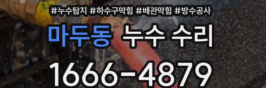 마두동 누수 수리