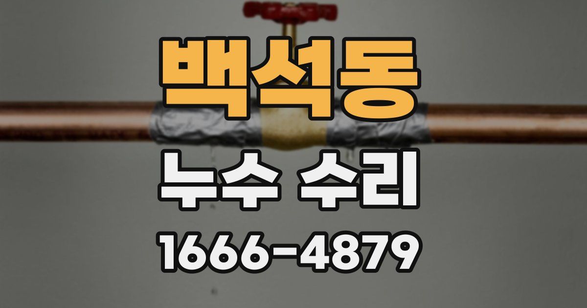 백석동 누수 수리