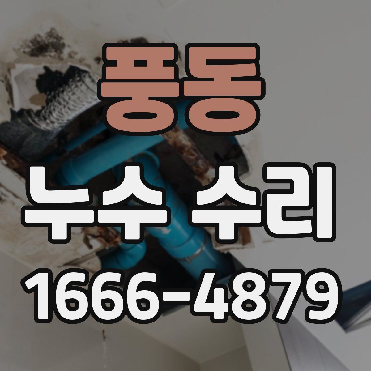 풍동 누수 수리