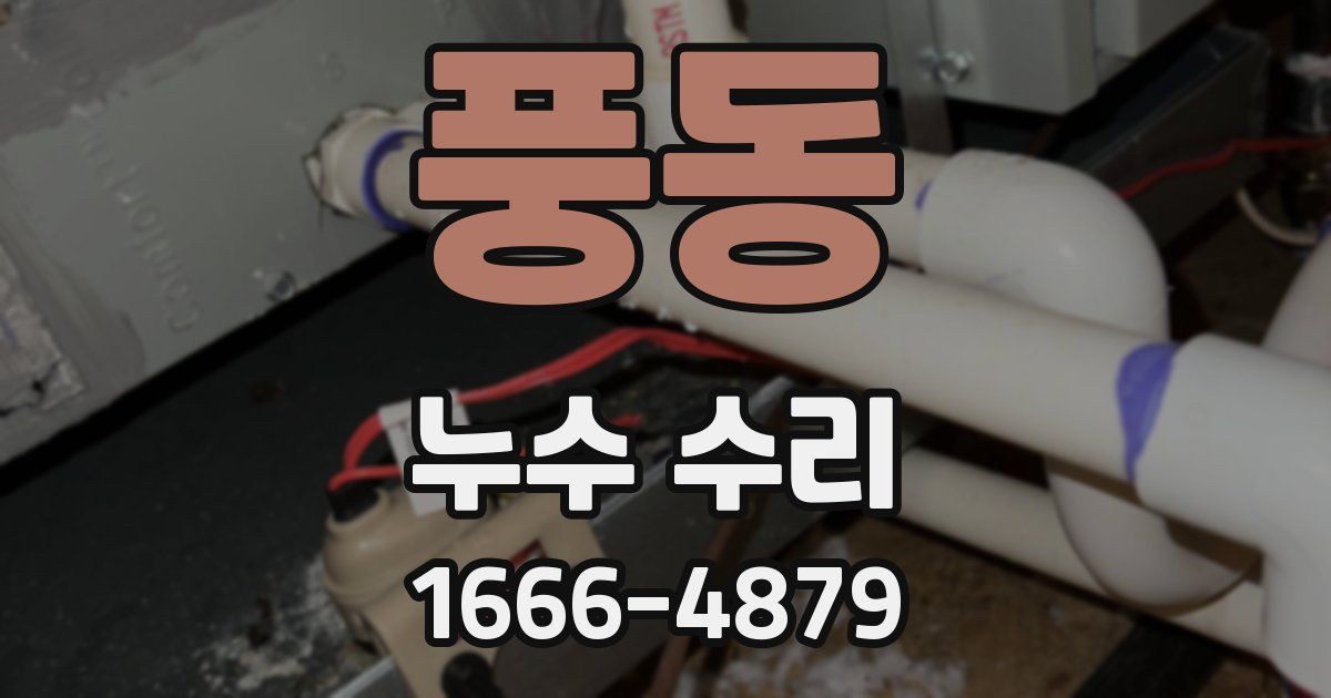 풍동 누수 수리