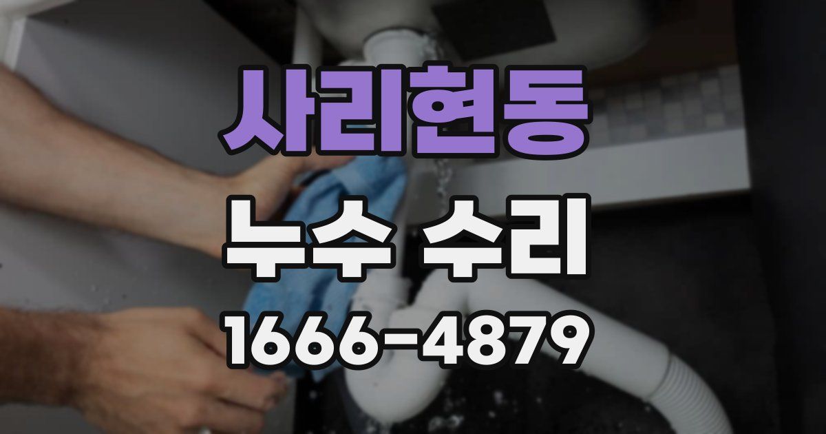 사리현동 누수 수리