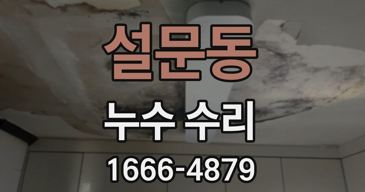 설문동 누수 수리