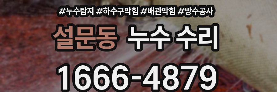 설문동 누수 수리