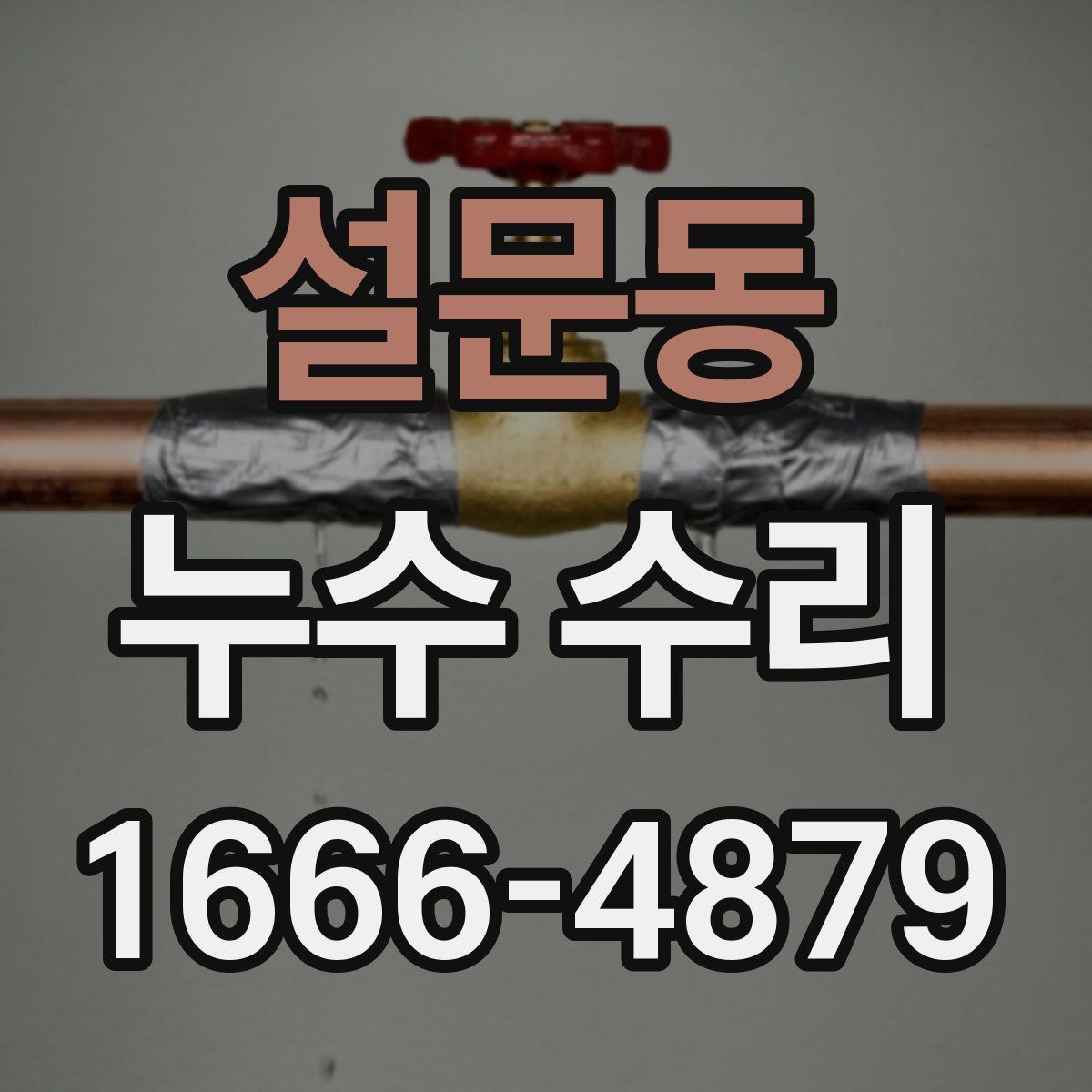 설문동 누수 수리