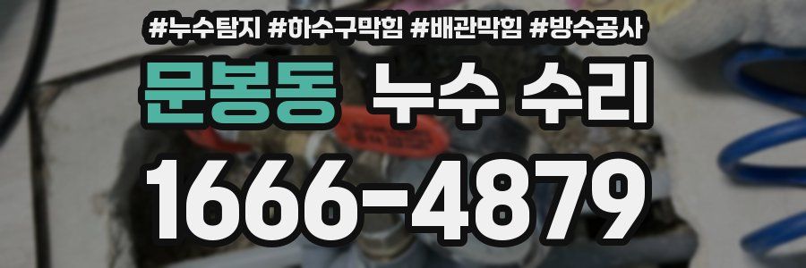 문봉동 누수 수리
