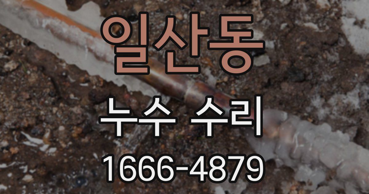 일산동 누수 수리