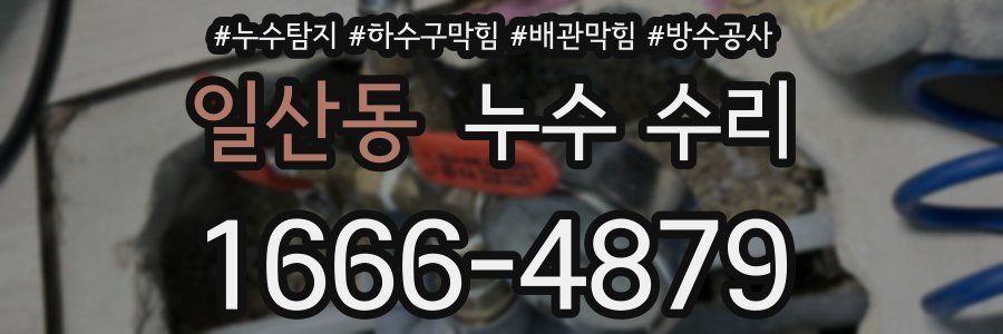 일산동 누수 수리