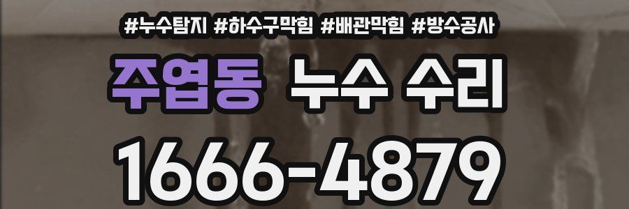 주엽동 누수 수리