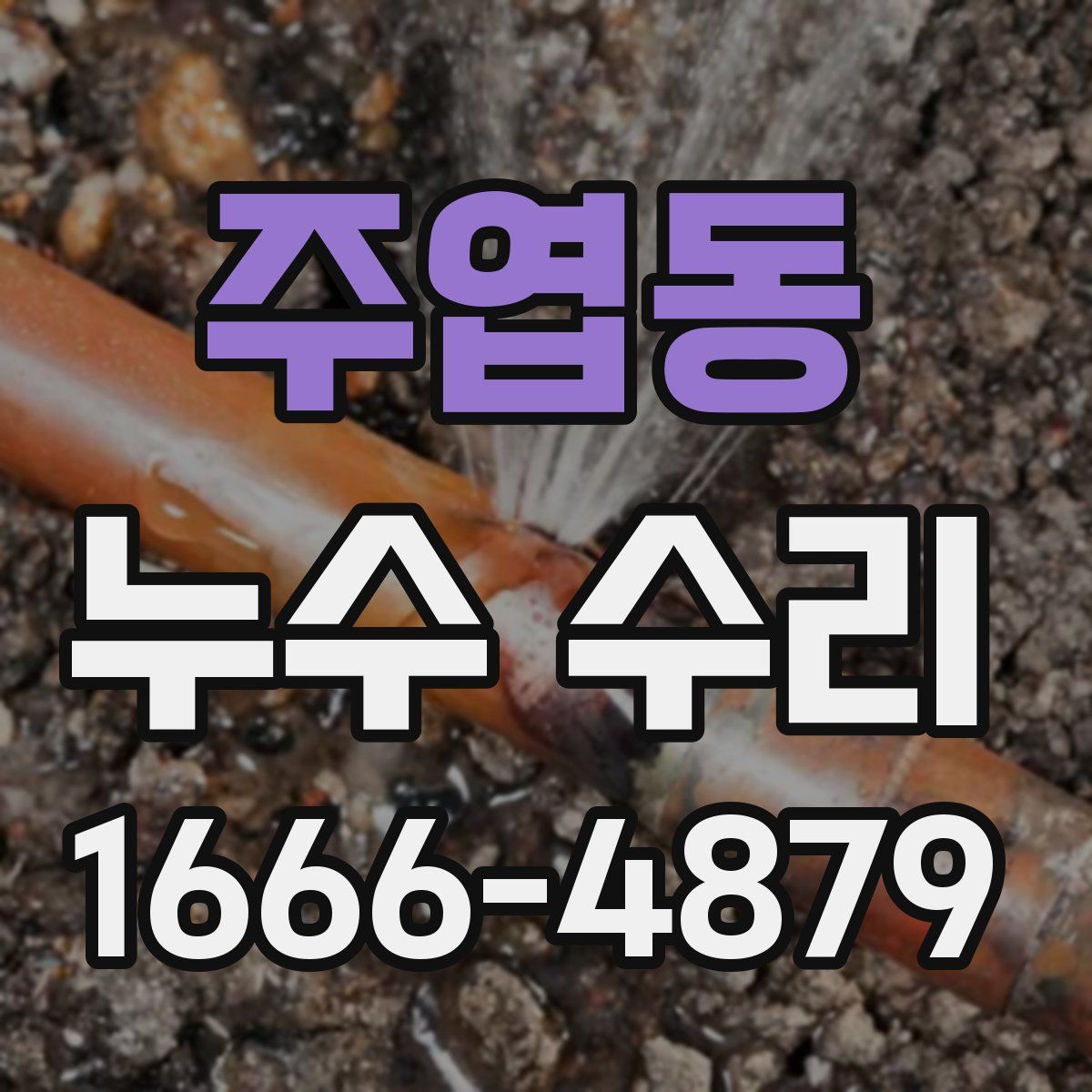 주엽동 누수 수리