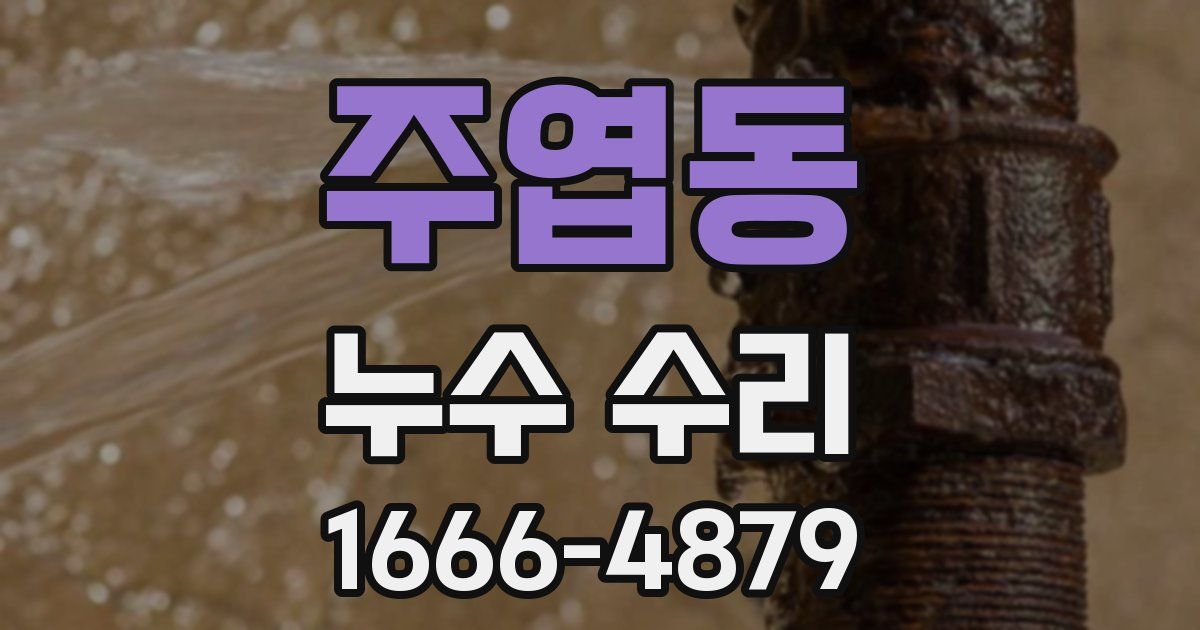 주엽동 누수 수리