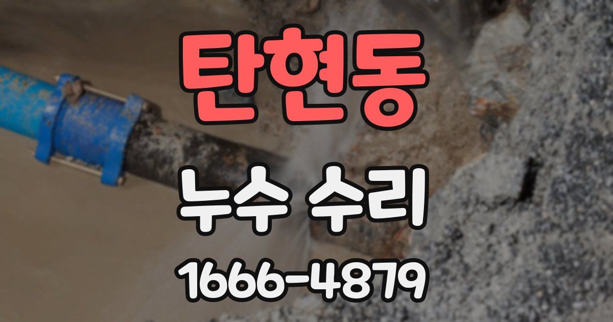 탄현동 누수 수리