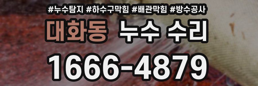 대화동 누수 수리