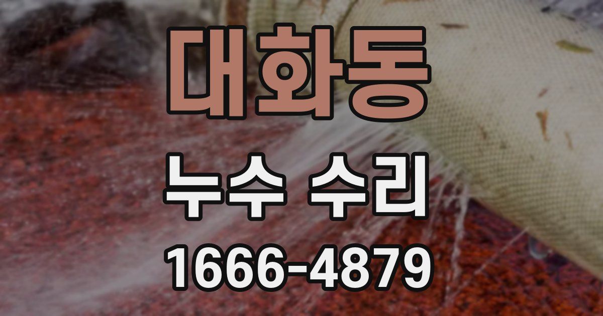 대화동 누수 수리