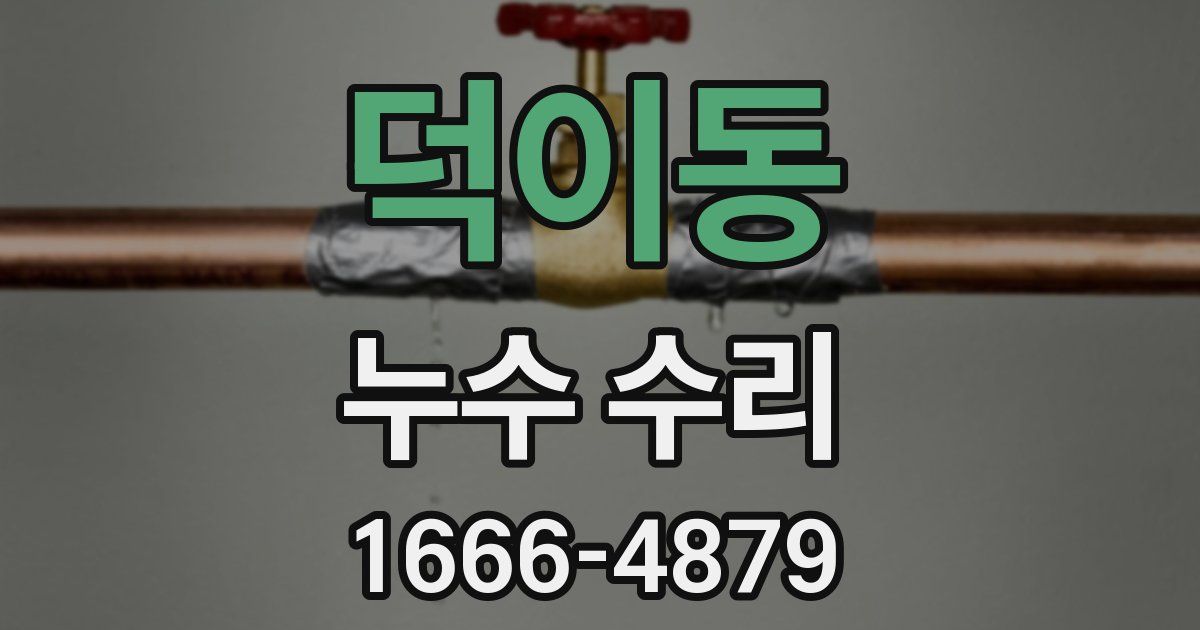 덕이동 누수 수리