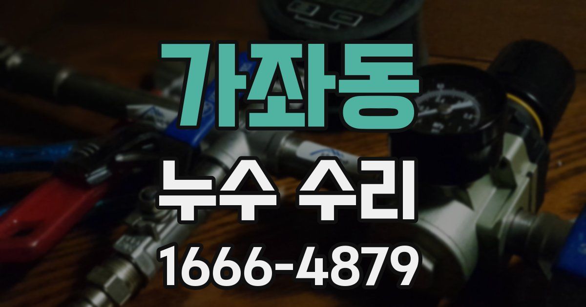 가좌동 누수 수리