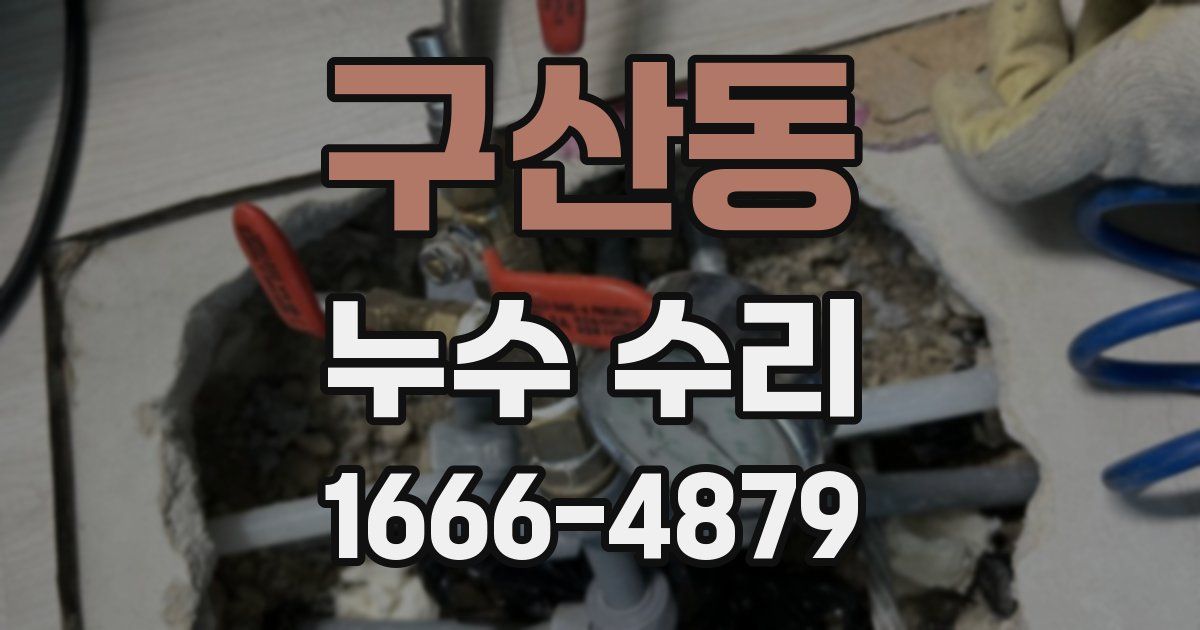 구산동 누수 수리