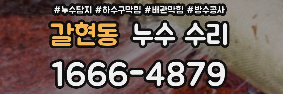 갈현동 누수 수리