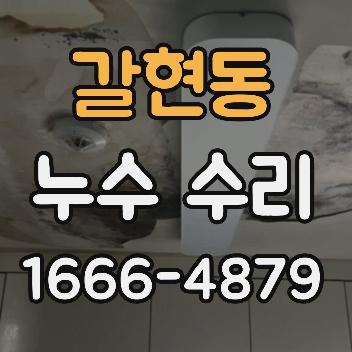 갈현동 누수 수리